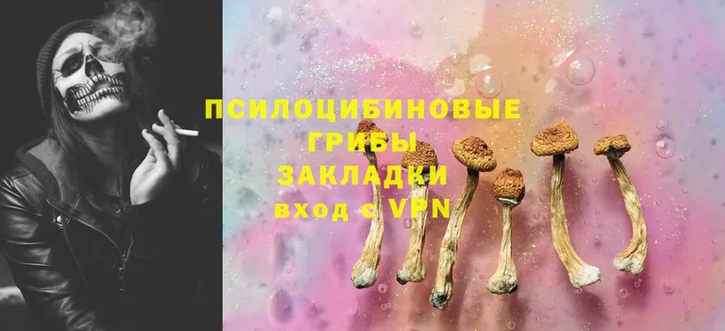 цена   Макушино  МЕГА зеркало  Псилоцибиновые грибы Cubensis 